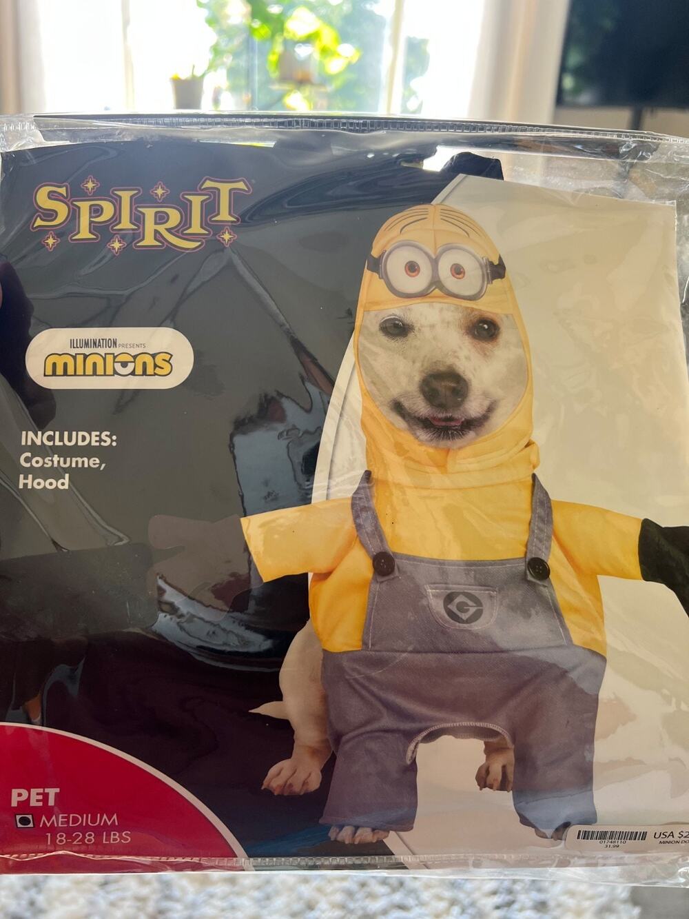 Minons Dog Pet Costume Dave Arms Spirit Size Medium 18-28 Lbs Cosplay Cartoon